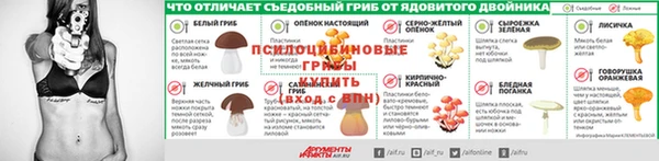 трава Алзамай